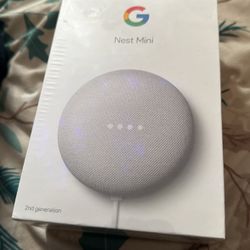 Google Nest Mini