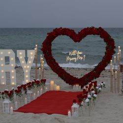 Miami Beach Proposal Setup