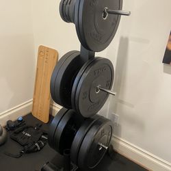 Hoist Plate Tree & TKO Bumper Plates for Sale