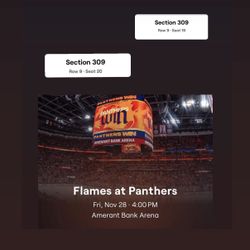 Panthers Vs Flames 