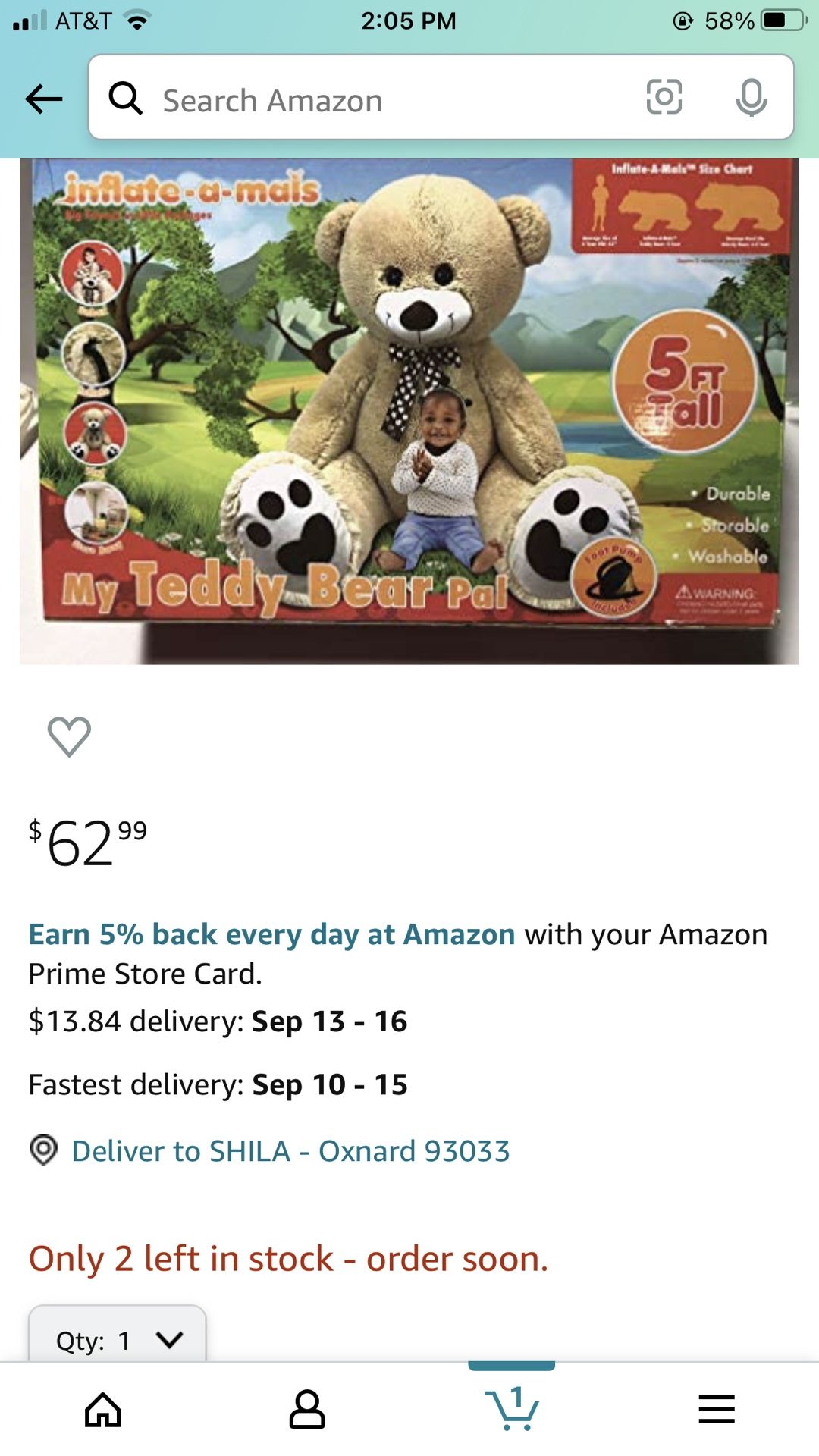 Blow Up Teddy Bear