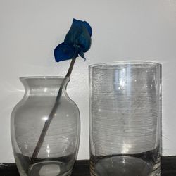 Two Clear Glass Flower Vases