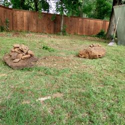 $150 Or You Can Clean Up Behind My Fance And U Can Take It