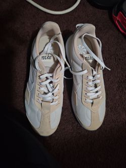 Nike Air Max Pre-Day Training Running Shoes Light Bone Gray DM8259-002 Womens