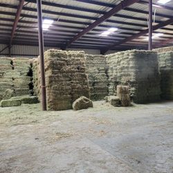 grass hay
