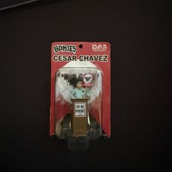 Collecting Homies Toy