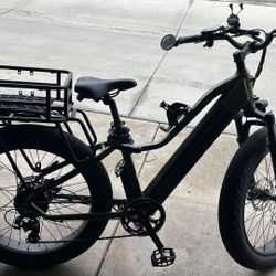 Dirwin Pioneer Lite E-Bike