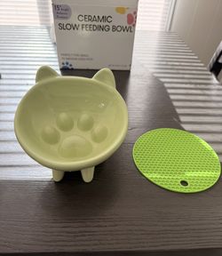 Green ceramic slow feeding bowl for dog or cat