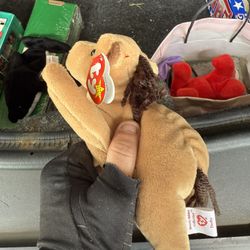 Derby Beanie Baby Mint