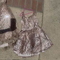 Rose Gold Dress 
