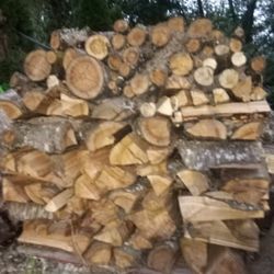 Firewood,  Already cut  cherrywood.  