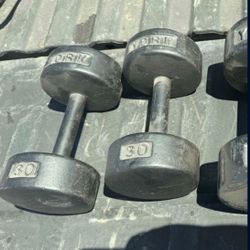 York Dumbbells