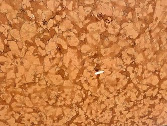Natural Marble Rosoo Verona Honed Finish