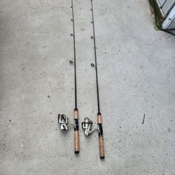 Fishing Rod/reel