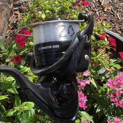 Daiwa Eliminator 3000 Fishing Combo ...NEW