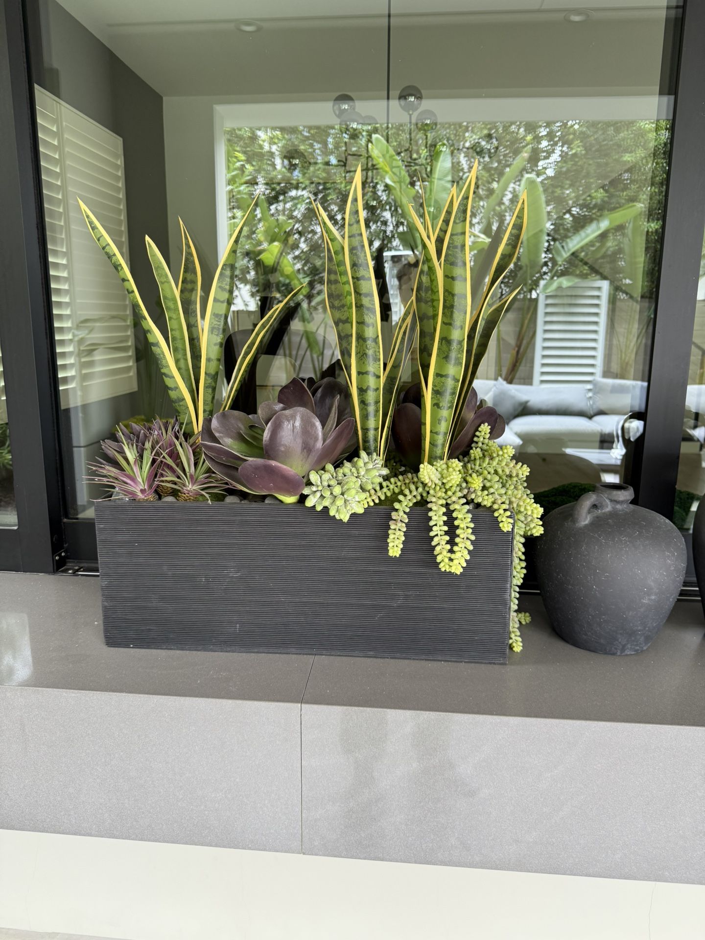Modern Plant