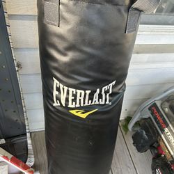 Everlast punching bag W: Everlast gloves