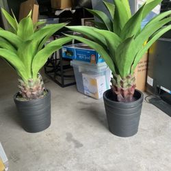 Decorative Plants (Artificial)