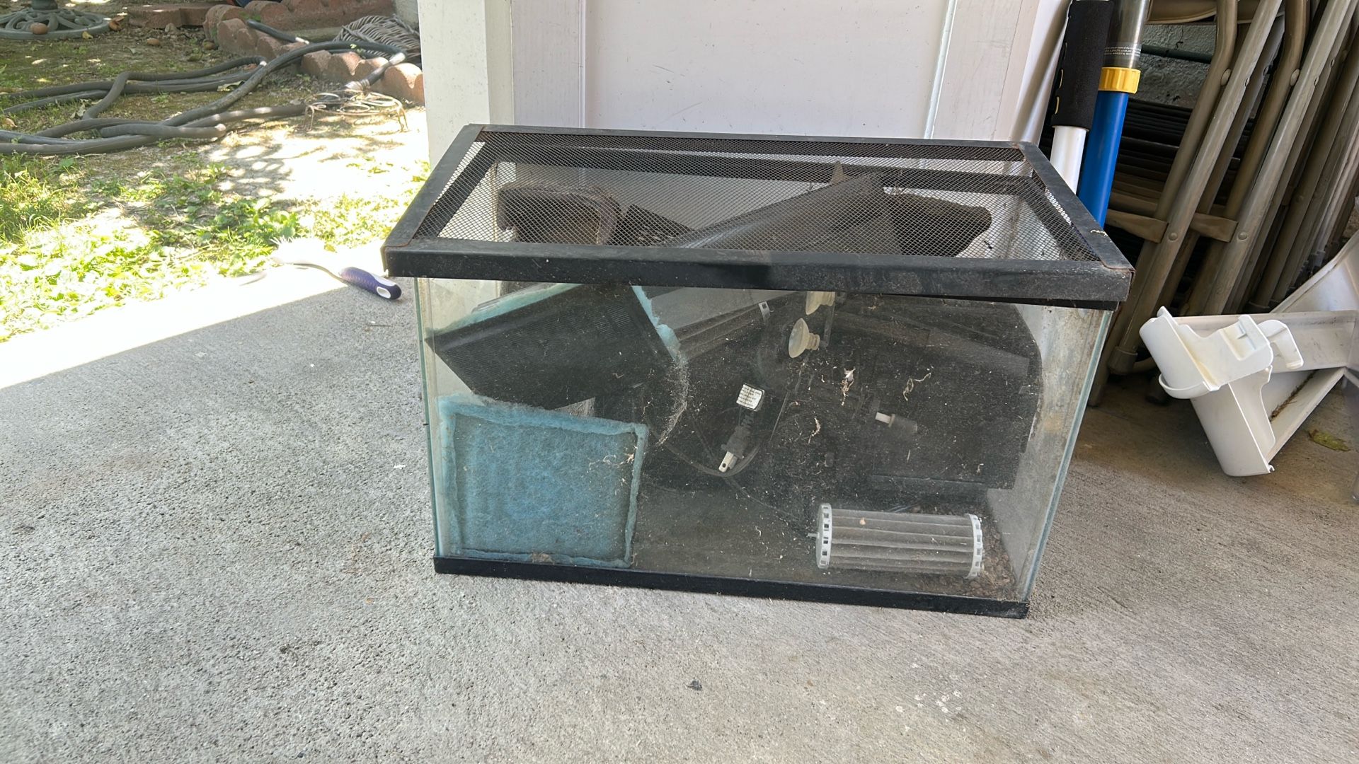 Free Turtle And Fish Tank