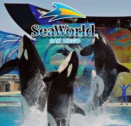 seaworld ticket