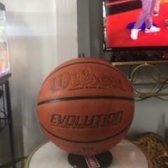 Wilson Evolution Basketball Indoor 