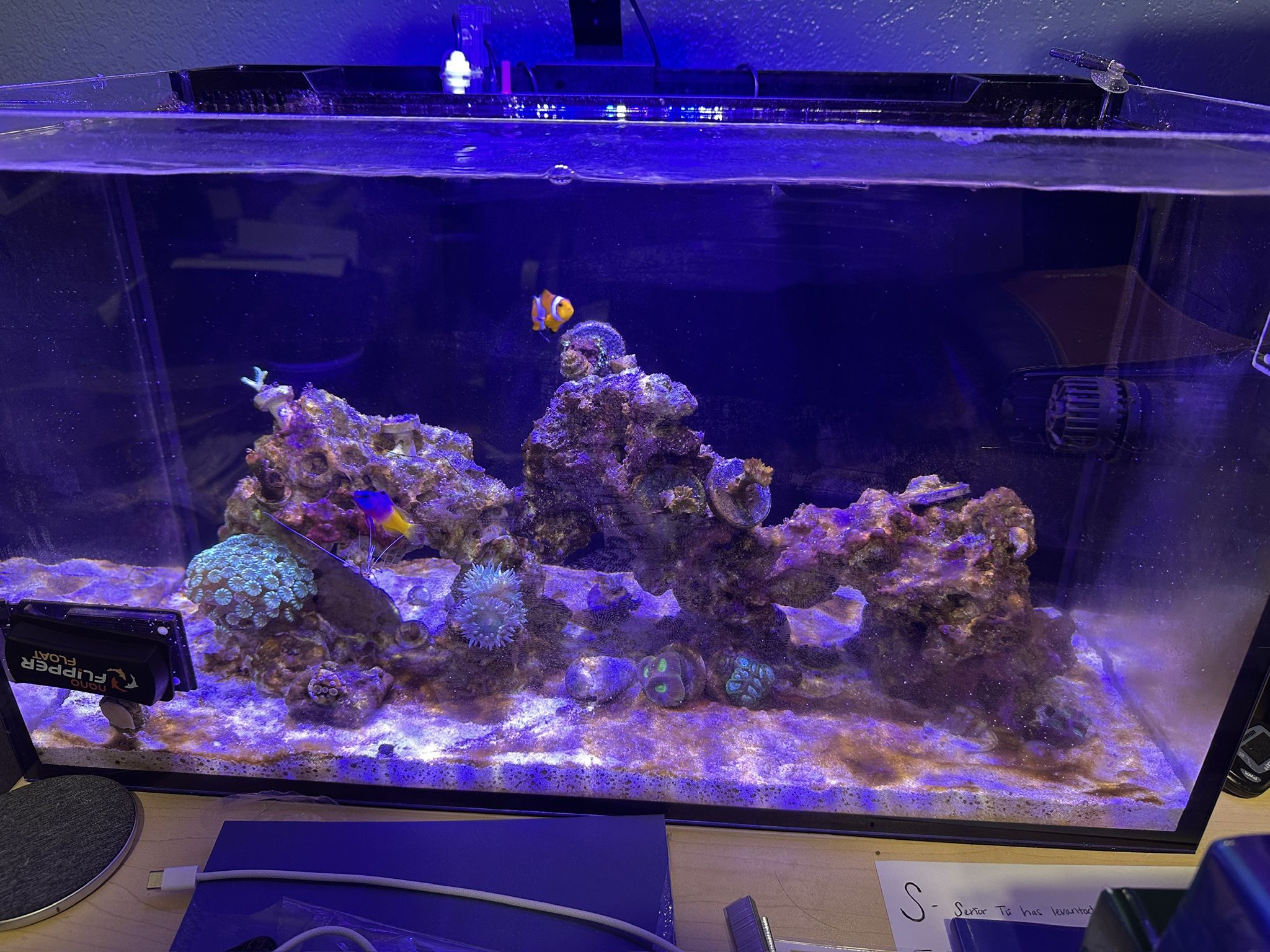 Innovative Marine AIO Tank
