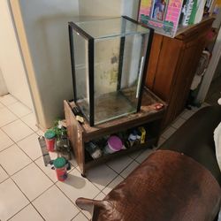 Gold Fish Tank 