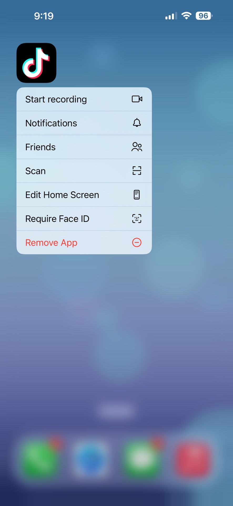iPhone 14 Pro Max With TikTok On It!