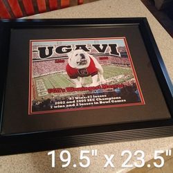 UGA VI Framed Print