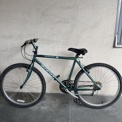 Giant Iguana mountain bike 