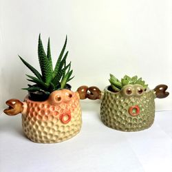 2 Mini Crab Ceramic Succulent Planter design with Gift Box