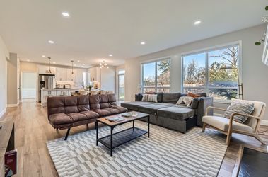 Grey L Shap Sleeper Sofa