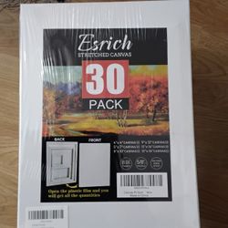 Esrich 30 Pack Blank Canvases 