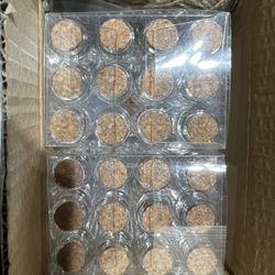 48PCS 20ml Mini Glass Jars Bottles with Corks