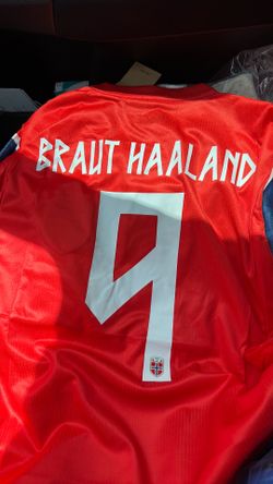 Nike Norway haalamd jersey