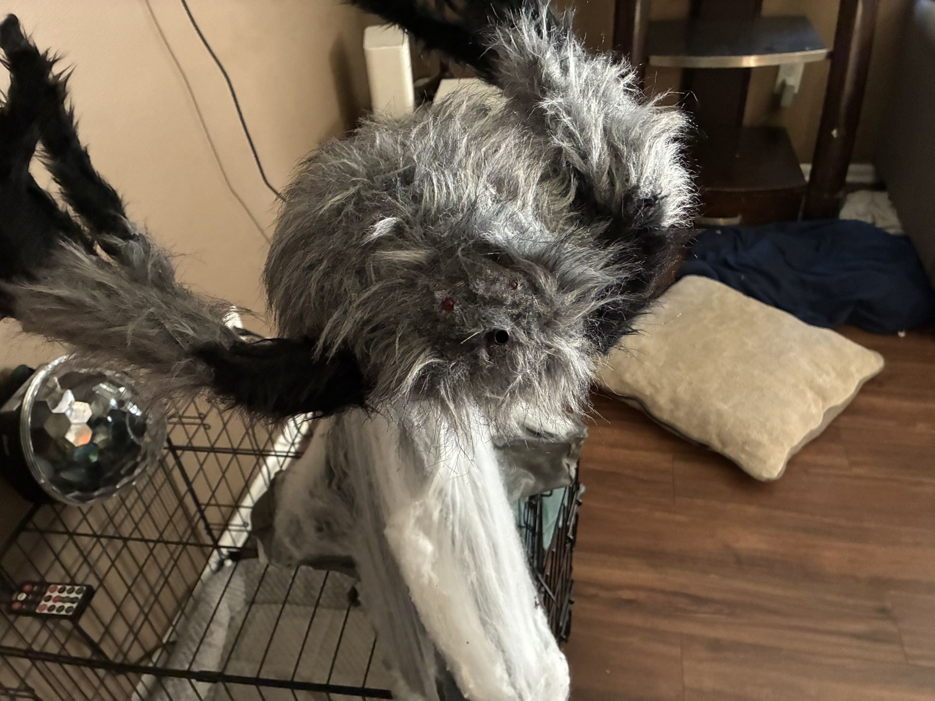 Spirit Halloween Grey Jumping Spider 