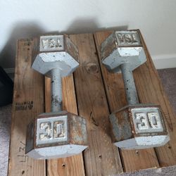 30 Pound Dumbells