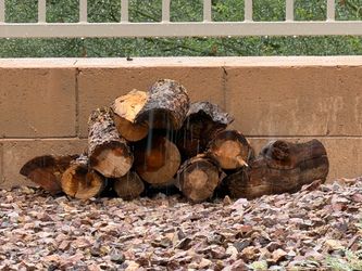 Bundle of Firewood