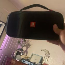 Nintendo Switch Game Case