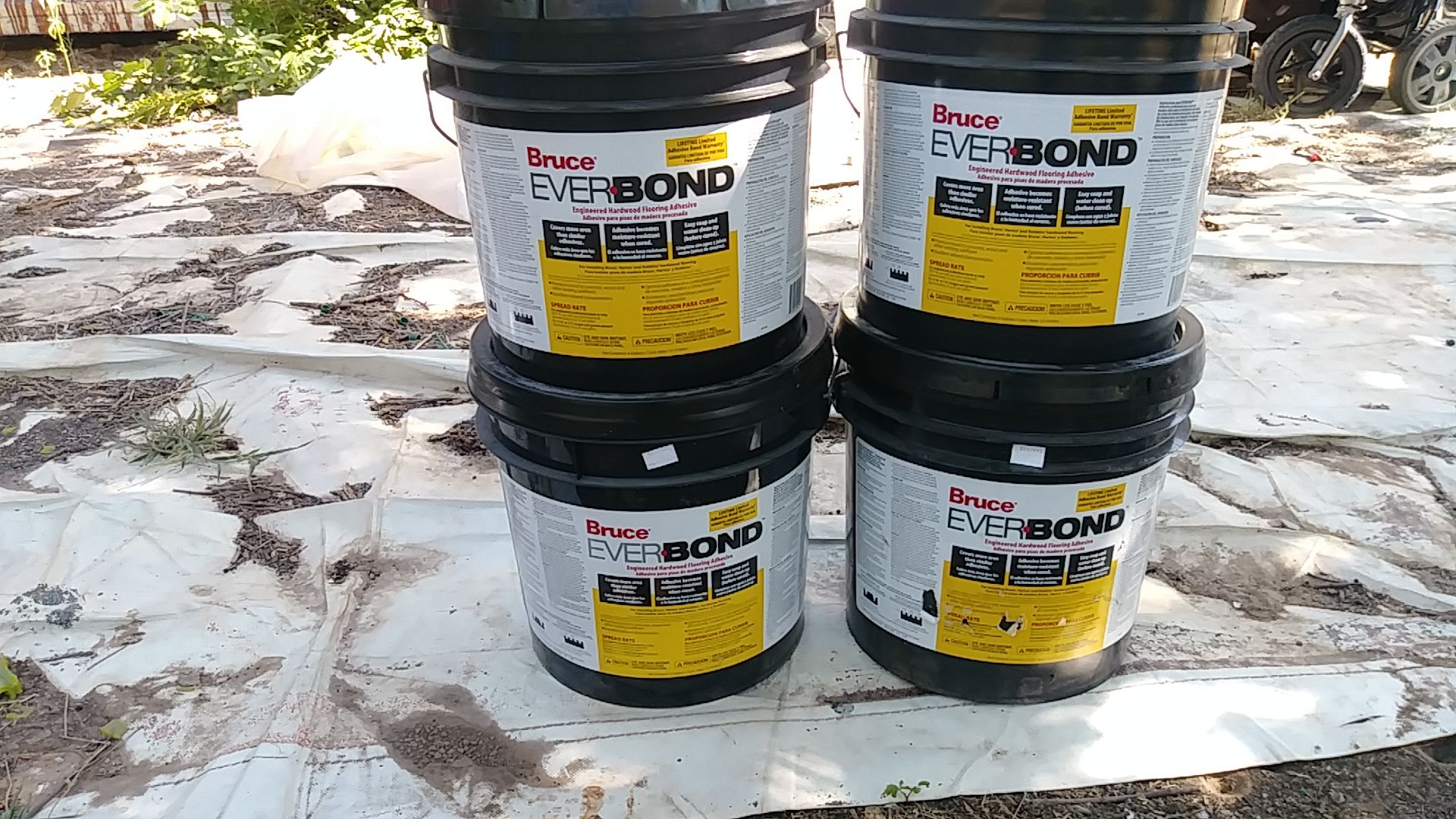 Everbond flooring adhesive