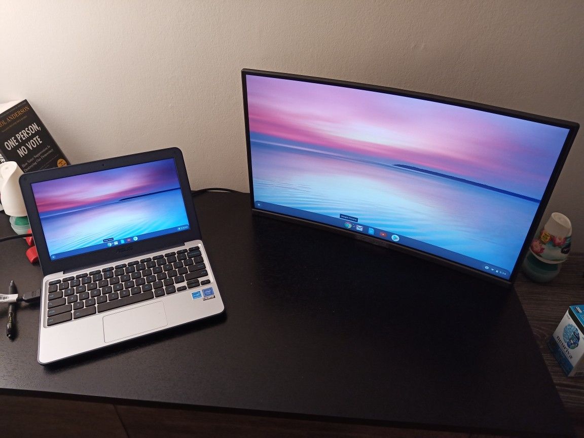 ASUS Chromebook with 24 in Curved Scepter Monitor