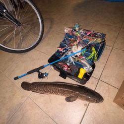 Fishing Rod, Tackle Box and stuff