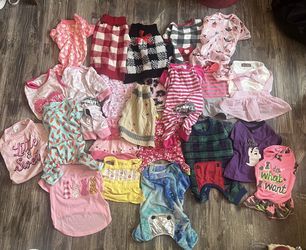 Clothes for Dog 🐶