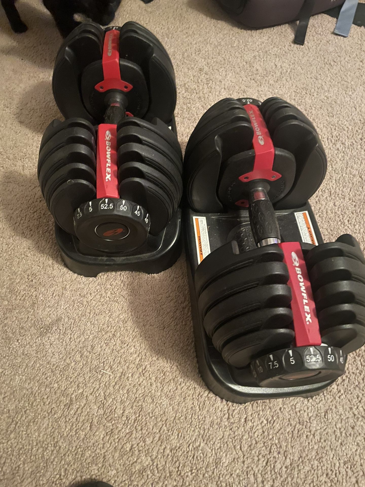 Bowflex Adjustable Dumbbell