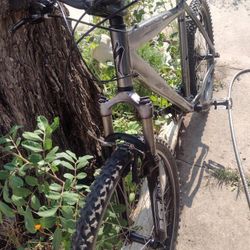 Mountain Bike Specialized Hard Rock Sports