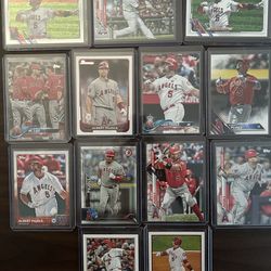 Albert Pujols Anaheim Angels (13) Card Lot
