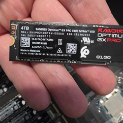 SanDisk 4 TB Optimus GX pro NVMe.