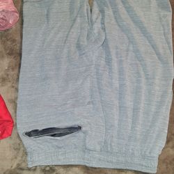 Champion Shorts
