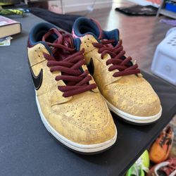 Nike Dunk Low SB Cinema Size 11 Worn