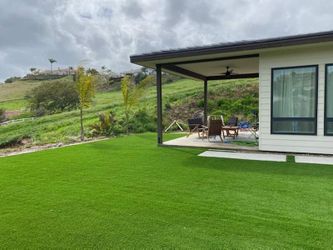 Artificial Pet Friendly Turf Grass
